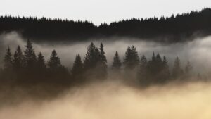 Háromnapos rutinváltás – mikor működik, mikor nem?