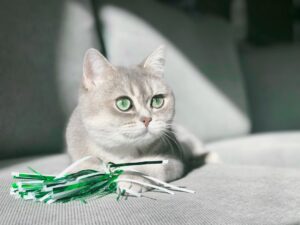 AI személyes tanácsadóként – már nem sci-fi