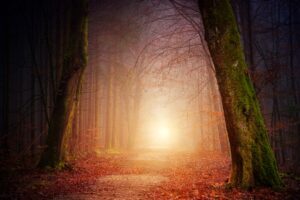 Zseblámpás világ – mi történik, ha csak egy pontot világítasz meg?