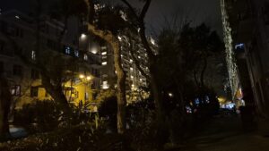 Utcai fák – egyéni karakterekkel