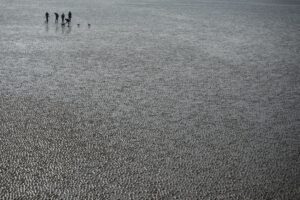 A rejtett családi minták felismerése