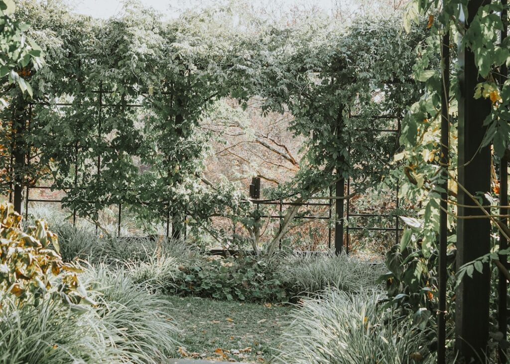 Titkos udvarok és belső kertek nyomában