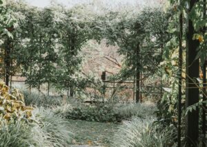 Titkos udvarok és belső kertek nyomában