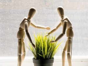 Szelektív empátia – miért csak egyes csoportokkal?